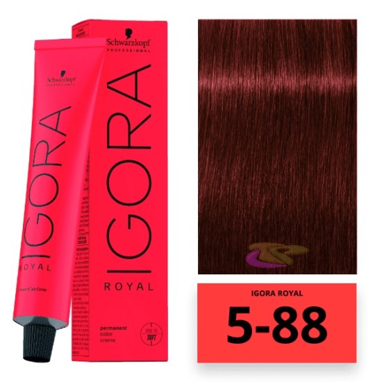 Schwarzkopf Igora Royal hajfesték, 60 ml 5-88