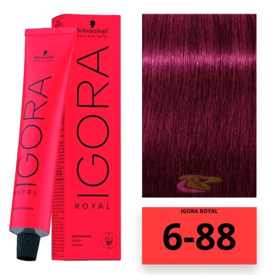 Schwarzkopf Igora Royal hajfesték, 60 ml 6-88