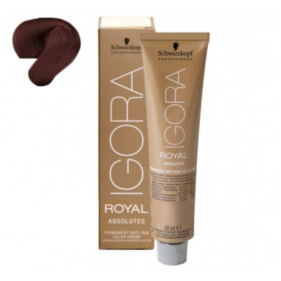 Schwarzkopf Igora Royal Absolutes hajfesték, 60 ml 6-80